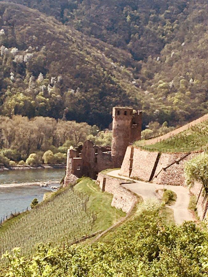 Hotel Berg'S Backpacker à Rüdesheim am Rhein Extérieur photo