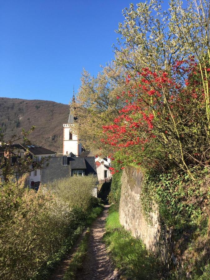 Hotel Berg'S Backpacker à Rüdesheim am Rhein Extérieur photo