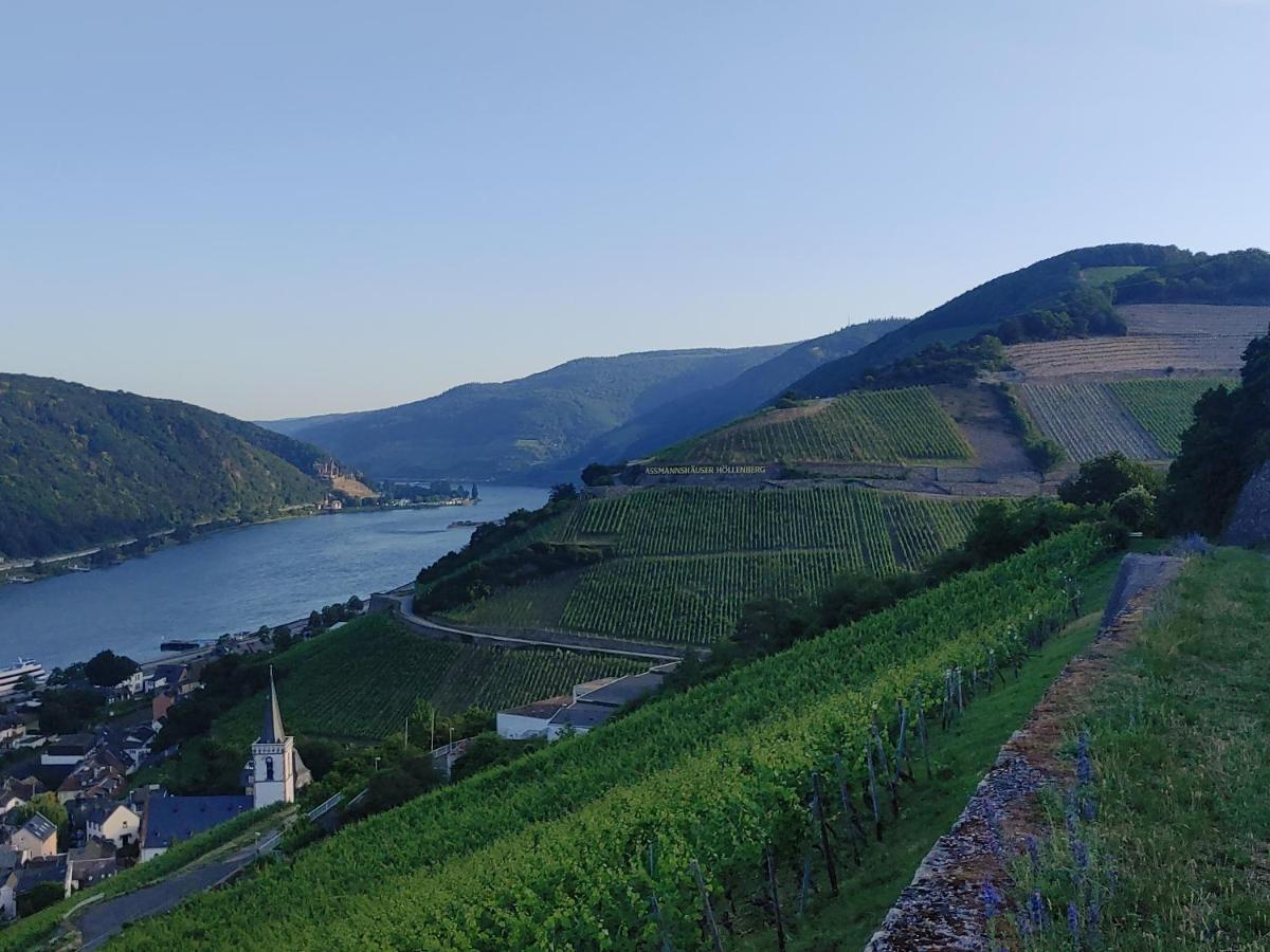Hotel Berg'S Backpacker à Rüdesheim am Rhein Extérieur photo